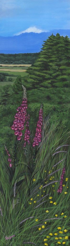 These are foxgloves — one of the most familiar summer sights in Ireland, blooming everywhere in June: along roadsides, in fields, on ditches. Tall, bold, unmistakable. For me, they're the flower of an Irish summer.