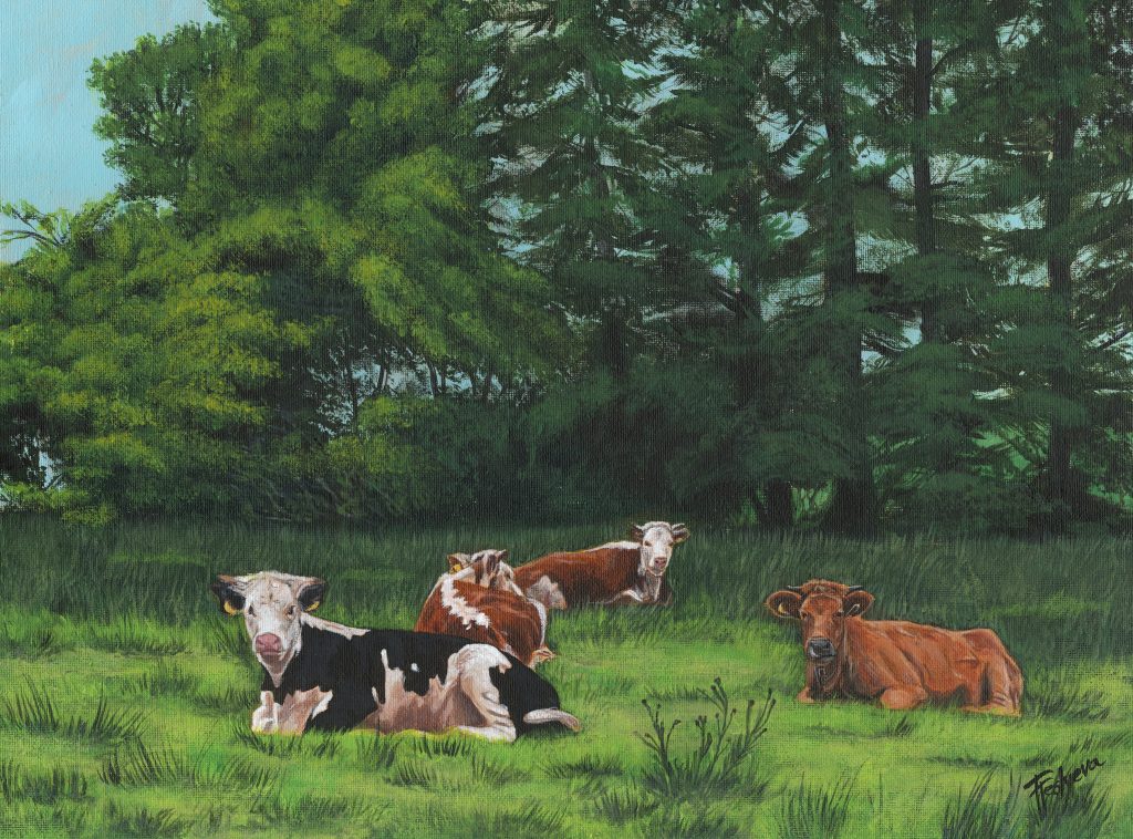 It's hard to imagine living in Kerry and not being inspired by a landscape with cows in it — they're everywhere, every colour, every breed, scattered across every field you pass.
This one's a memory of a summer day when we lived in an old farmhouse, with cattle grazing in the fields all around us — belonging to a farmer named Liam, who became a good friend of ours. He always had plenty of stories to tell, about Ireland, its past and its present.
